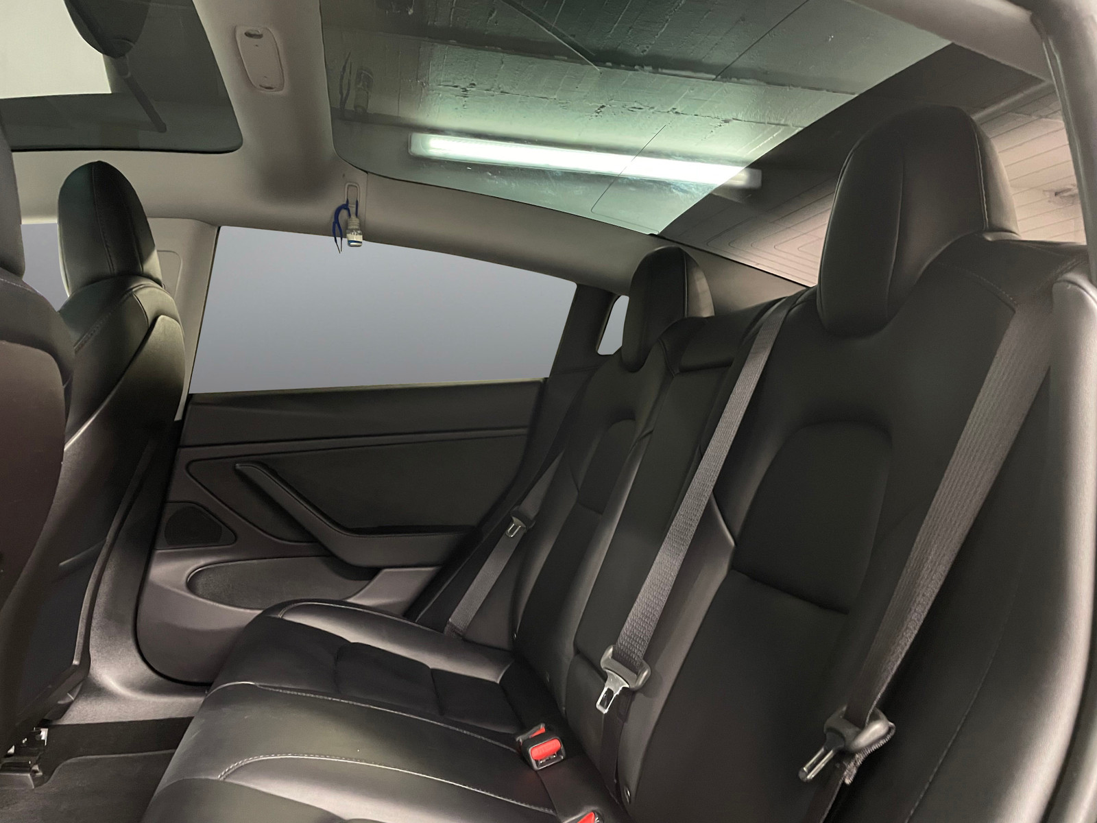 Tesla Model 3   image20