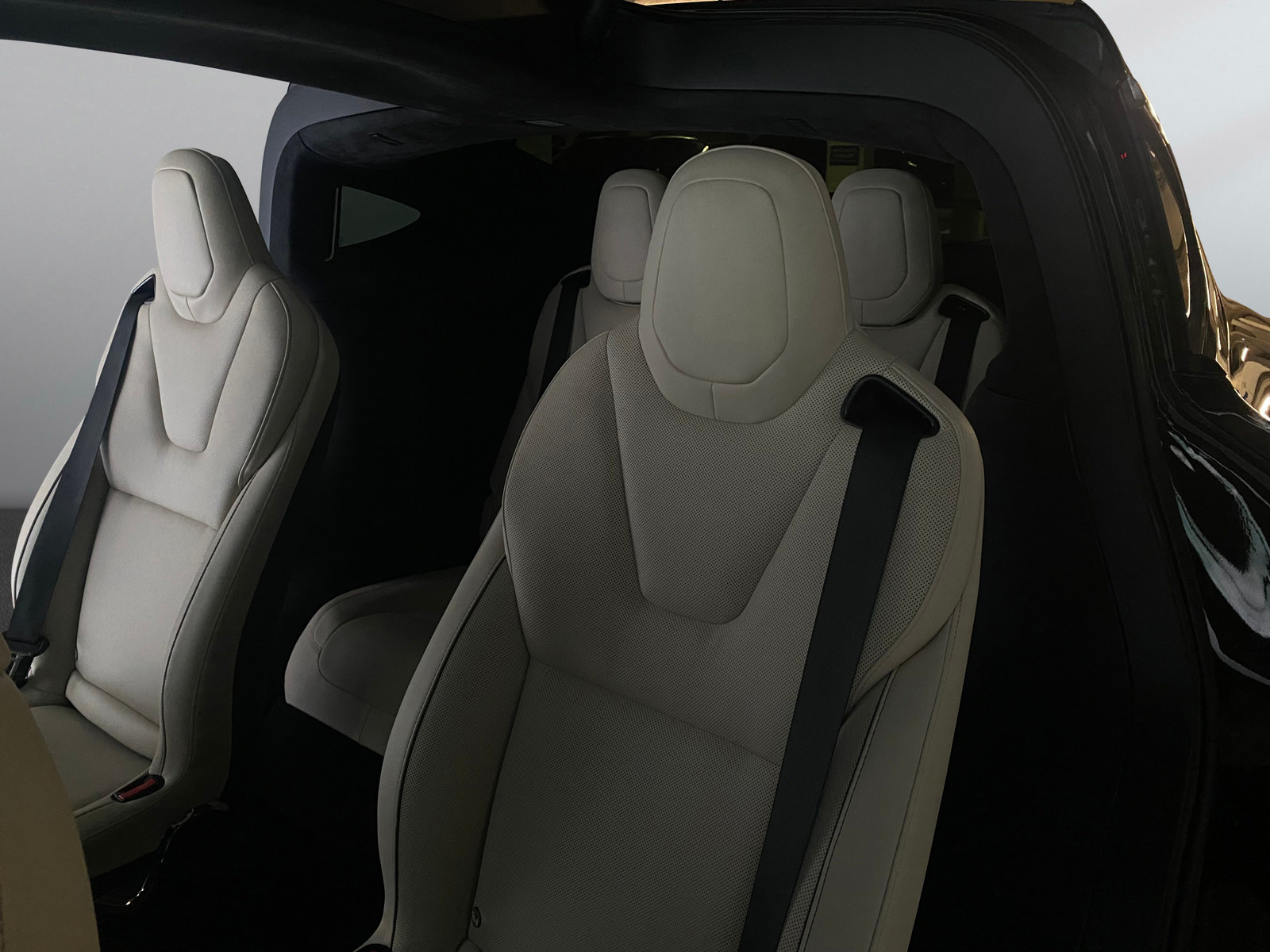 Tesla Model X   image24